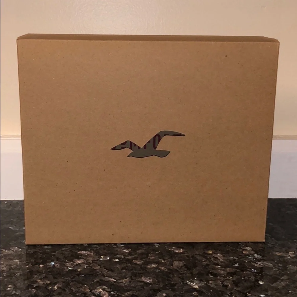 New Hollister California Medium Sized Gift Box